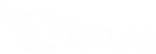 Master Aviação